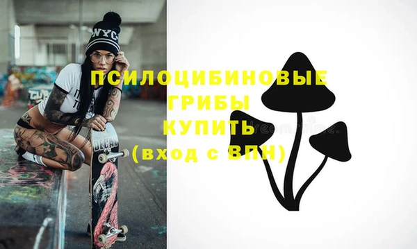 индика Богородицк