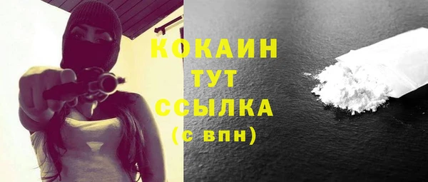 индика Богородицк