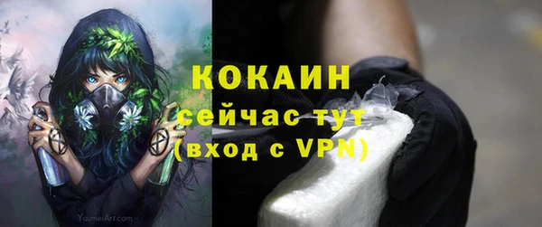 индика Богородицк