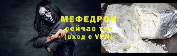 индика Богородицк