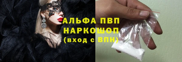 PSILOCYBIN Богданович