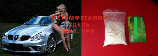 индика Богородицк