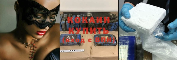 индика Богородицк