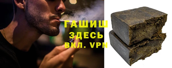 индика Богородицк