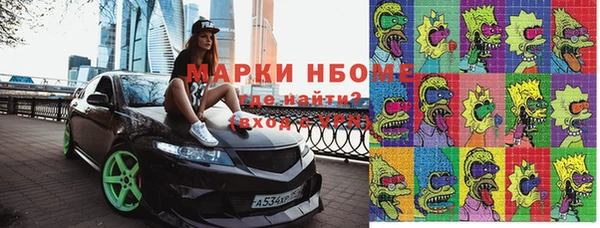 индика Богородицк