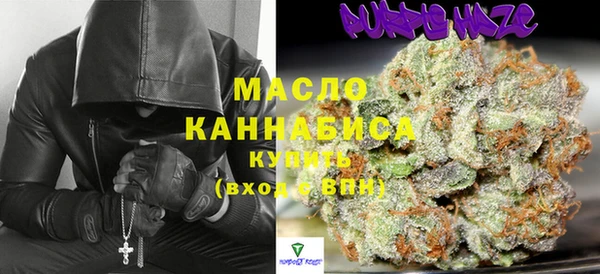 индика Богородицк