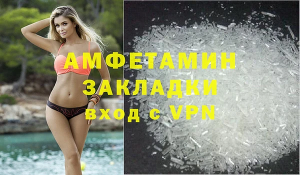 PSILOCYBIN Богданович