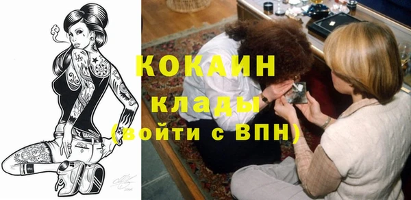 индика Богородицк