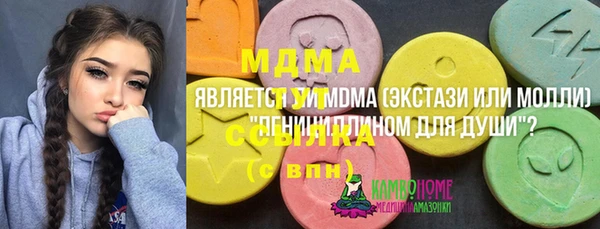 индика Богородицк